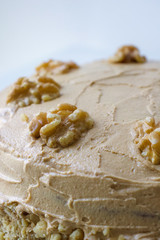 Close up of Walnut and Coffee Cake