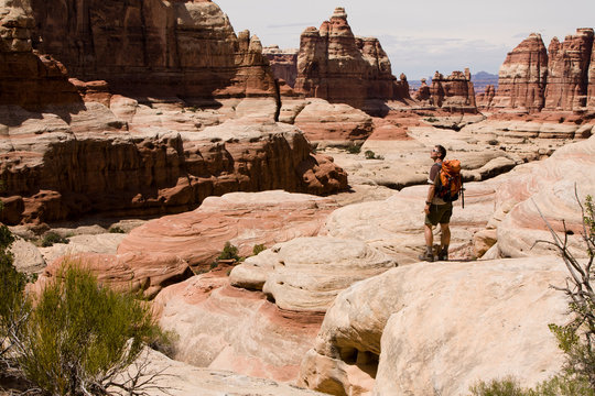 Elephant Canyon, Canyonlands National Park, Needles District, Utah.      