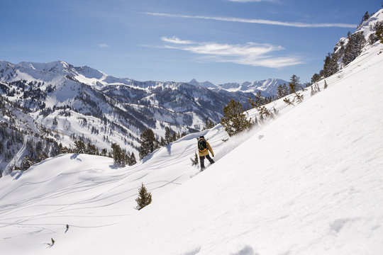 Snowboarder on a splitboard shredding the backcountry outside of Alta, Utah on a sunny winter day.   