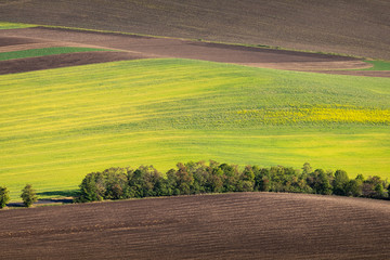 Green and yellow fields from above aerial view, Ceske Stredohori, Czechia