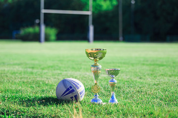 Rugby ball and rugby trophies on grass