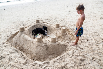 a dog and a boy in a sand castle