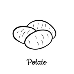 Hand drawn Potato isolated on a white. Vegetables drawings. Vector illustration.