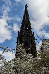 The spire of St Lambert's Church in Munster framed by blossoms