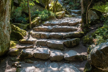 Romantic corner in the Vorontsov park. Small chaos with a stone staircase, Crimea.