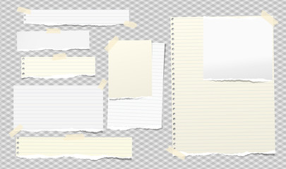 Torn white and yellow note, notebook paper pieces stuck with sticky tape on squared grey background. Vector illustration