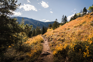 Fototapeta na wymiar A trail in Vail, Colorado during autumn. 