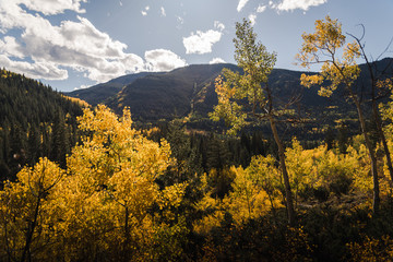 Landscape view of the mountains in Vail, Colorado covered in fall foliage. 