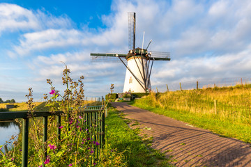 Windmill near Middelburg