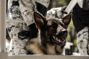 Desfile 16 de septiembre 