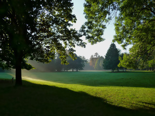 A parkland in early morning sunlight. Sun's rays shining through the trees in the park. Prater park in Vienna in September.
