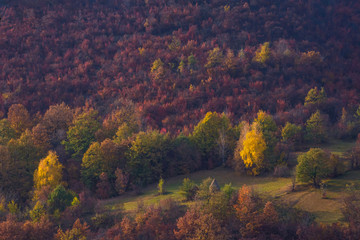 Beautiful autumn landscape with colorful trees, in sunny day