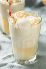 Homemade Ginger Beer Boston Cooler