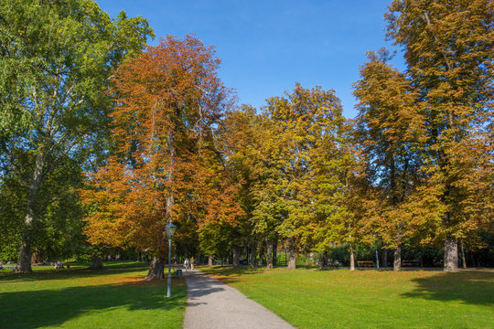 Sunny autumn day in the park, in Graz, Styria region, Austria.  - Powered by Adobe