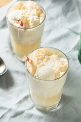Homemade Ginger Beer Boston Cooler