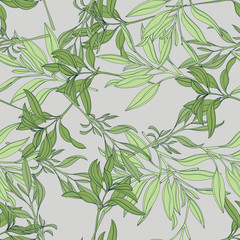 Vector seamless pattern with hand painted watercolor sage branches. Beautiful design elements.