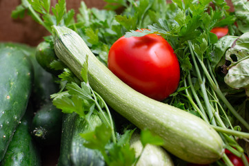 fresh seasonal vegetables, homemade garden vegetables