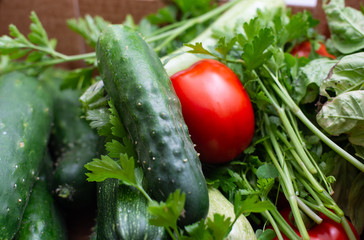 fresh seasonal vegetables, homemade garden vegetables
