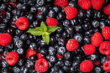 Mint, Blueberries and Raspberries