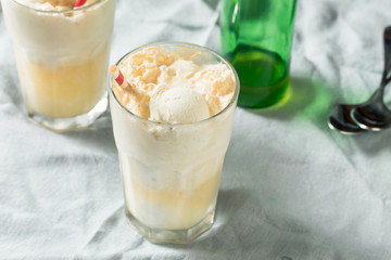 Homemade Ginger Beer Boston Cooler