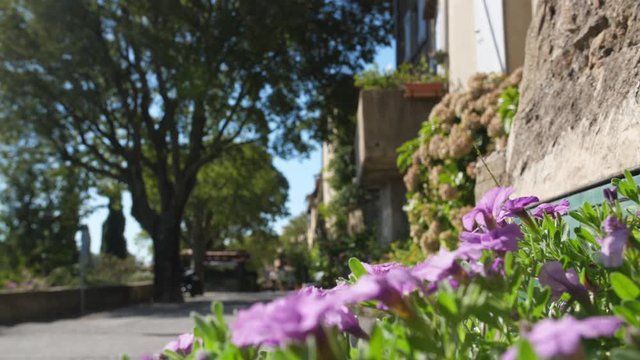 Gassin streets with flowers in foreground beautiful french village south of France Var saint Tropez 
