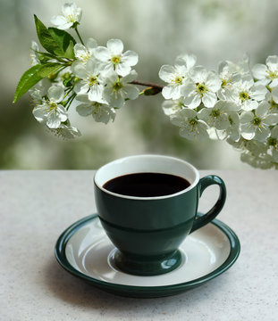 Green cup of black espresso coffee and a blooming apricot branch in the garden