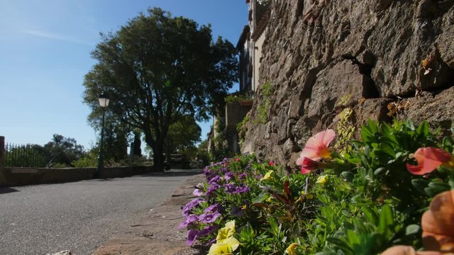 Flowers and trees in Gassin most beautiful villages in France sunny summer day 