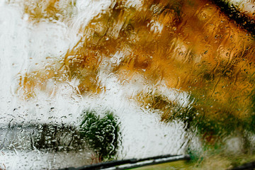 texture of raindrops on glass autumn trees