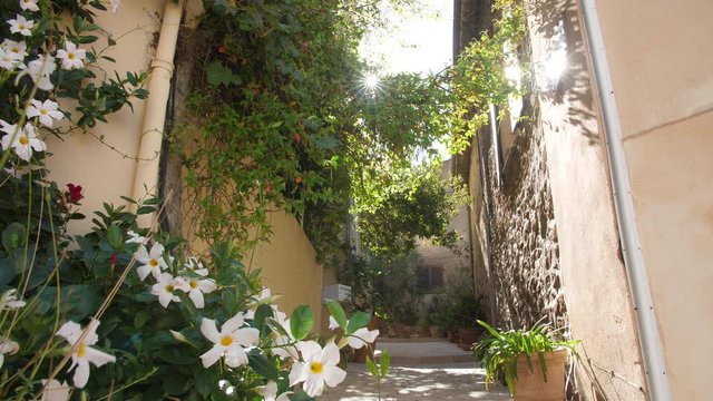 Flowery Gassin streets window with flowers and sun flare France Provence-Alpes-C&ocirc;te d&rsquo;Azur