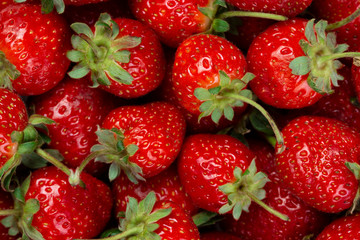 fresh strawberries 