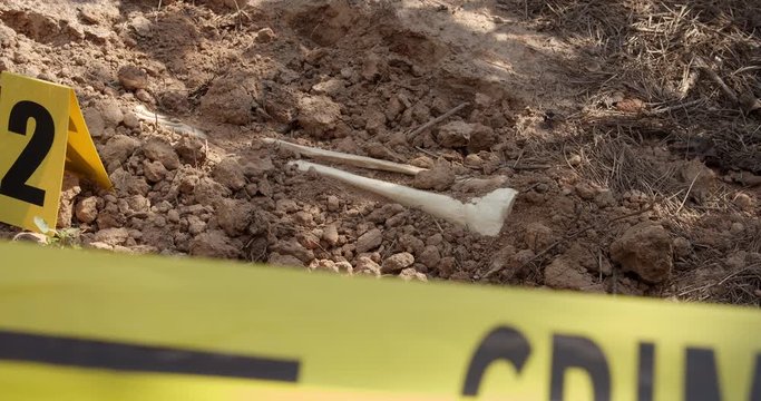 Police Crime Scene Human Bone Discovered