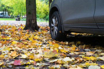 Obraz premium Bright fallen leaves lie on the ground next to the wheels of the car. Nostalgic mood. Travel concept.