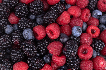 ripe berries of fresh, red raspberries, blueberries and violet blackberries are highlighted in close-up, in daylight.