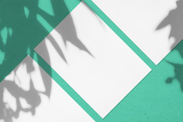 Three empty white rectangle poster or card mockups lying diagonally with oleander leaves and...