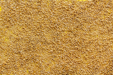 Cereals background top view copy space
