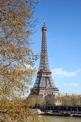 Eiffel tower in spring, Paris,France