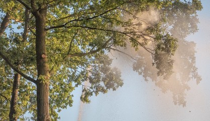 Silhouette of agricultural irrigation system watering cornfield at sunset. Cornfield irrigation using the center pivot sprinkler system