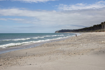 View of Bruce beach, West coast of New Zealand