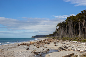 Fototapeta na wymiar View of Bruce beach, West coast of New Zealand