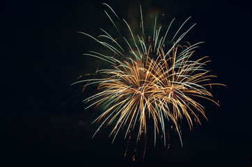 fireworks in the sky