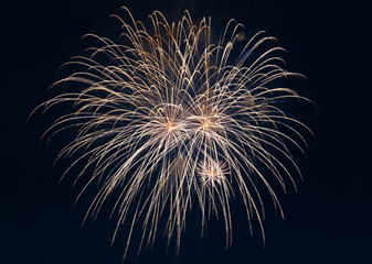 fireworks in the night sky