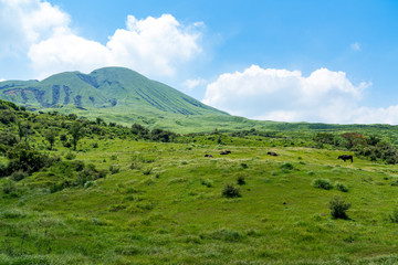 [熊本県]阿蘇・草千里の風景