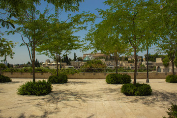 Jerusalem holy land park outdoor scenic view nature environment 
