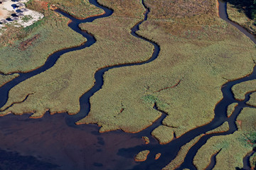 Coastal wetland in Istra, Croatia