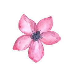 Watercolor pink flower element. Hand-drawn similar suitable for the design of paper, textiles, cards or souvenirs