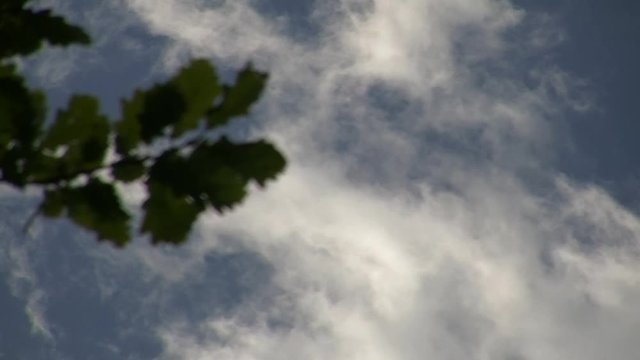 Die schnell ziehenden Wolken am Himmel wirken fast bedrohlich (verst&auml;rkt durch die unscharfen dunklen Bl&auml;tter am Bildrand)