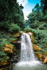 Fototapeta premium Park of waterfalls Mendeliha. Forest river and waterfall. Sochi. Rosa Khutor