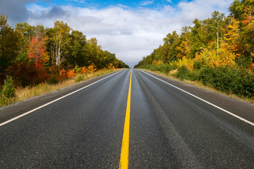 A two lane highway is divided by a single yellow line. The trees on both sides of the road are golden, yellow and orange.  The sky is blue with white clouds in the background.