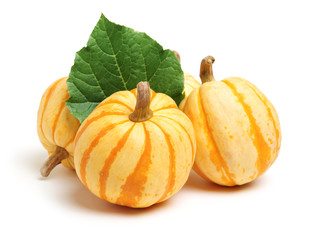 mini pumpkin isolated on white background 