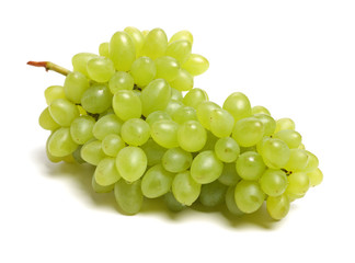 grapes on white background